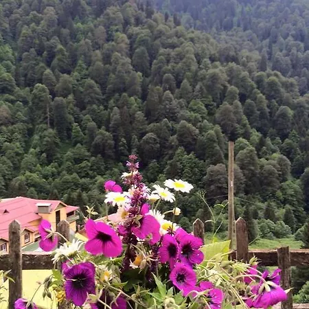 Fora Pension Ayder Yaylasi