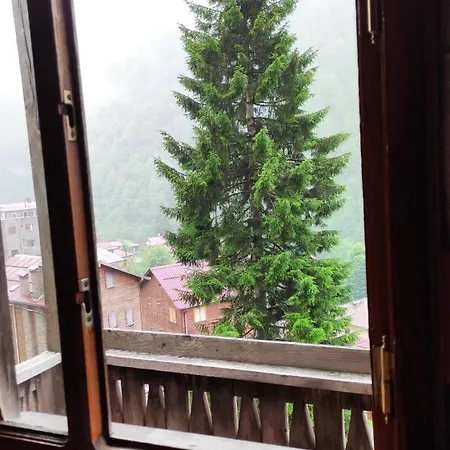 Fora Pension Ayder Yaylasi