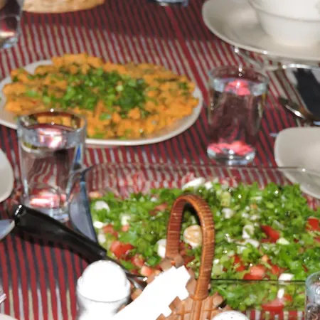 Fora Pension * Ayder Yaylasi