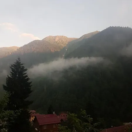 Accommodatie bij particulieren Fora Pension Ayder Yaylasi